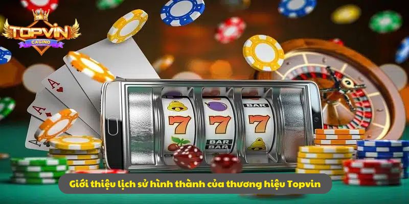 Giới thiệu lịch sử hình thành của thương hiệu Topvin